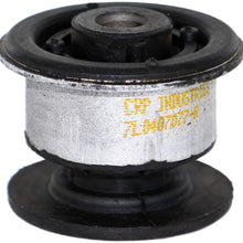 Rein Automotive AVB0628 Suspension Control Arm Bushing (Front Upper Position), 1 Pack