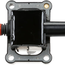Delphi GN10381 Ignition Coil