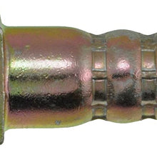 Dorman H620179 Hydraulic Brake Hose