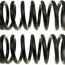 ACDelco 45H3155 Professional Rear Coil Spring Set