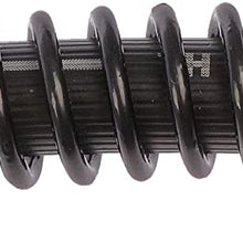 Dorman H621176 Hydraulic Brake Hose