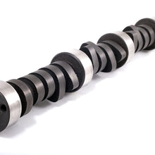 Crane Cams 114112 2020 Camshaft and Lifter Kit for Chevrolet V8 Engine