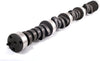 Crane Cams 114112 2020 Camshaft and Lifter Kit for Chevrolet V8 Engine