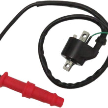 Moostore Ignition Coil and Spark Plug Repl.#3084690 for 1995-30 Polaris Sportsman Predator ScramblerCoil 500/425