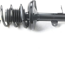 MOSTPLUS Complete Rear Strut Spring Assembly Compatible for 1998-2002 Chevrolet Prizm,1993-2002 Toyota Corolla 171953 171954(Set of 2)