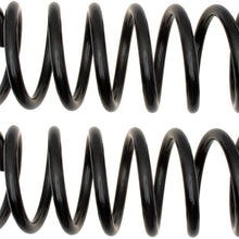 ACDelco 45H2161 Professional Rear Coil Spring Set