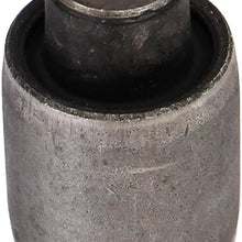Rein Automotive AVB0669 Control Arm Bushing, 1 Pack
