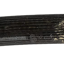 Dorman H381215 Hydraulic Brake Hose