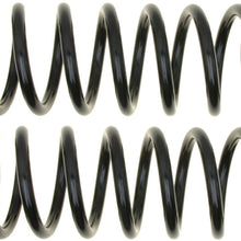 ACDelco 45H1194 Professional Rear Coil Spring Set