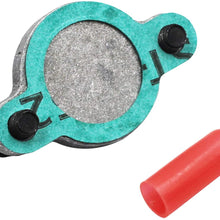 Yamaha YFS200 Blaster YFS 200 Oil Injection Clutch Plate Kit w/Gasket Engine all years