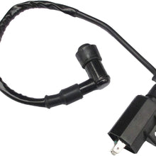 Ignition Coil Fit Suzuki ATV Quadsport Quadrunner Ozark LT80 LT230S LTZ250 LT4WD