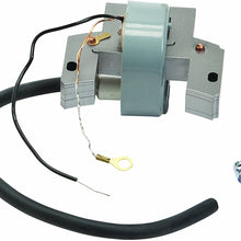 Oregon 33-362 Ignition Coil Replacement for Briggs & Stratton 298502, 395488