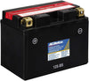 ACDelco ATZ12SBS Specialty AGM Powersports JIS 12S-BS Battery