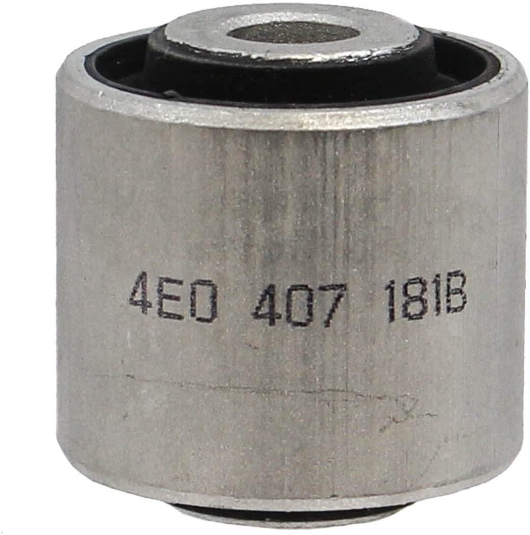 Rein Automotive AVB0615 Suspension Control Arm Bushing (Front Lower Outer Forward Position), 1 Pack
