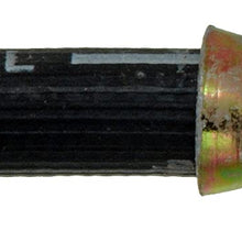 Dorman H38419 Hydraulic Brake Hose