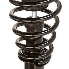 Gabriel G52347 Ultra Strut, 1 Pack