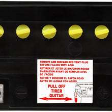 ACDelco AB10LA2 Specialty Conventional Powersports JIS 10L-A2 Battery