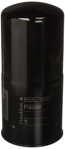 Donaldson P165880 Filter