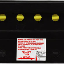 ACDelco AB16B Specialty Conventional Powersports JIS 16-B Battery