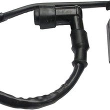 Ignition Coil Fit Suzuki ATV Quadsport Quadrunner Ozark LT80 LT230S LTZ250 LT4WD