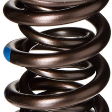 Manley 221424-16 Dual Engine Valve Spring