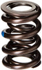 Manley 221424-16 Dual Engine Valve Spring