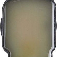 Richporter Technology C-750 Coil-On Plug