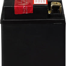 ACDelco ATZ12SBS Specialty AGM Powersports JIS 12S-BS Battery