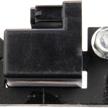 Delphi GN10435 Plug Top Ignition Coil