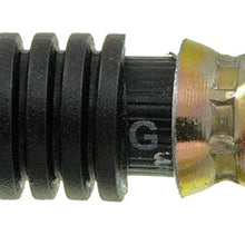 Dorman H381299 Hydraulic Brake Hose