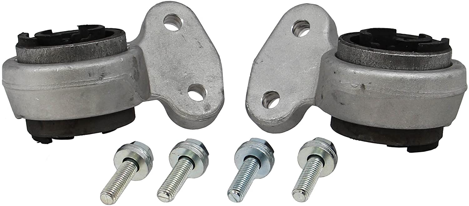 Rein Automotive AVB0662 Control Arm Bushing (AVB0652 Front Suspension Kit for Select BMW Vehicles)