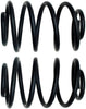 ACDelco 45H2104 Professional Rear Coil Spring Set