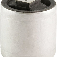 Bapmic 31120006482 Front Control Arm Bushing for BMW E39 E38 (Pack of 2)