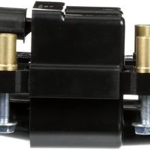 Delphi GN10405 Ignition Coil