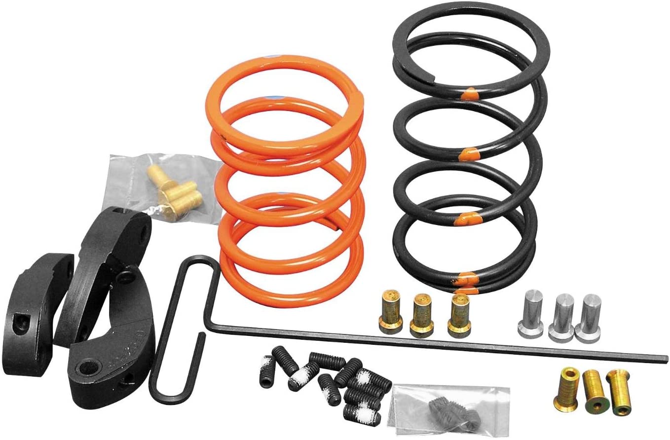 Dalton Clutches Clutch Kit DUV-P8RZ-11