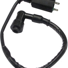 Ignition Coil Fit Suzuki ATV Quadsport Quadrunner Ozark LT80 LT230S LTZ250 LT4WD