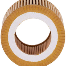 Premium Guard Oil Filter, Extended Life Premium Guard5607EX| Fits BMW 2007-18 X5, 2007-13 328i, 2013-17 X3, 2012-16 328i, 2007-17 X3, 2007-15 335i, 2013-16 328i xDrive, 2009-13 328i xDrive