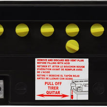 ACDelco AB14LA2 Specialty Conventional Powersports JIS 14L-A2 Battery