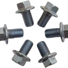 Z Whip Torque Converter Metric Bolt Kit Compatible with Chevrolet GM 4L60E 4L65E 4L70E 4L80E 700R4 200-4R 3L80 4T60E 4T65E 4 speed overdrive M10-1.5x16 Flange Bolts LS1 LS Vortec MADE IN USA BOLTS