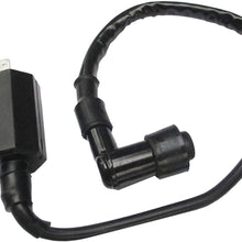 Ignition Coil Fit Suzuki ATV Quadsport Quadrunner Ozark LT80 LT230S LTZ250 LT4WD