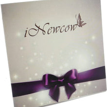 iNewcow Car Multiple Cameras Switch Control Box 2 Way Channel for Front/Rear/Right/Left View Parking Camera System Video Control to LCD/DVD/DVR.