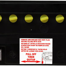 ACDelco AB14A2 Specialty Conventional Powersports JIS 14-A2 Battery
