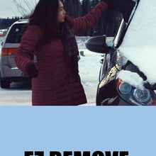 APSG ICE Snow Windshield Window Cover Magnetic Shade Frost Rain, Waterproof Car Premium w/Mirror Covers