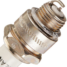 Champion 861ECO Spark Plug Engine Parts, Natural