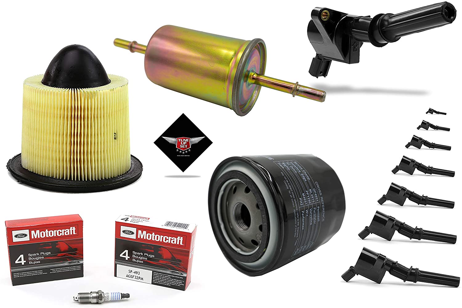 Tune Up Kit compatible with 2000 2001 2002 2003 2004 2005 Ford F150 4.6L V8 Ignition Coil DG508 Spark Plug SP493