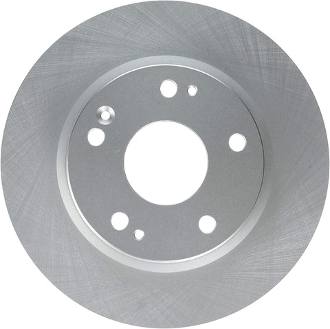 Raybestos 982073FZN Rust Prevention Technology Coated Rotor Brake Rotor, 1 Pack