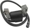 Ignition Coil for Briggs & Stratton 398811 398265 395326 395492 Fits 7-16HP Horizontal/Vertical Single Cylinder Engines (Models: 190701 190702 190707 170401 170402 170403 170407 170412 170417)