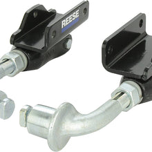 Reese 26002 Dual Cam Sway Control(Not vehicle specific)