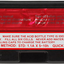 ACDelco ATX12BBS Specialty AGM Powersports JIS 12B-BS Battery