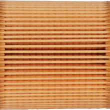 PREMIUM Guardia pg5607ex Extended Rendimiento Filtro de aceite